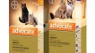 Адвокат за котки: инструкции за употреба