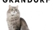 Преглед на котките grandorf (grandorf)