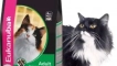 Преглед на котките eukanuba (eukanuba)
