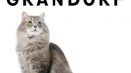 Преглед на котките grandorf (grandorf)