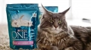 Purina: храна за котки и котета, за суха и мокра гледка