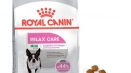 Royal kanin за кучета от малки породи: за кученца и възрастни