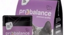Всичко за котките за котки pripply