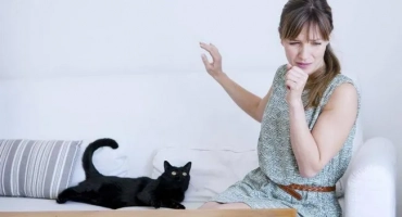 Алергия към котките: как се проявява, симптоми при възрастни