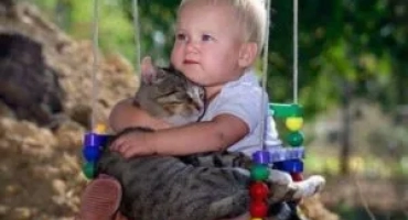 Коя котка е по -добре да има в апартамент за дете?
