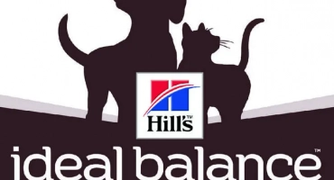 Храната на хълмовете i/d за котки (gastentinal gast)