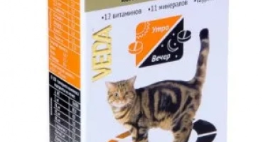 Основните характеристики на витамините на биоритъма за котки