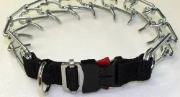 Характеристики на избора и прилагането на строга яка за кучета