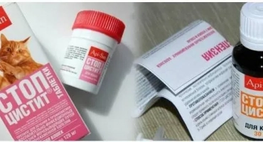 Спрете цистица за котки: таблетки и окачване