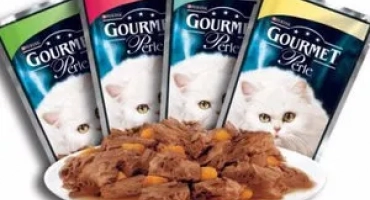Моделната линия за котки и котки пурина (пурина)