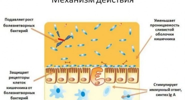 Viyo за котки: инструкции, fosim prebiotic formula