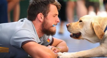 Възраст на кучета по човешки стандарти: таблица