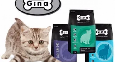 Всичко за котешката храна джина (джина)